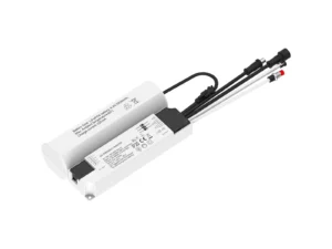 Emergency Driver for Pure Panel Lights 4W    IP20