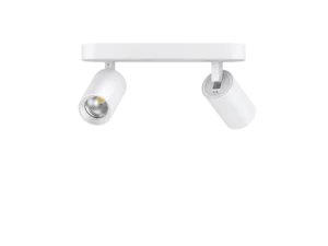 Pure Twin Indoor Spot Light 12W CCT