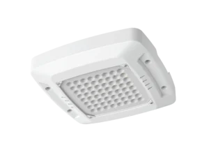 Pure Canopy Light 120W