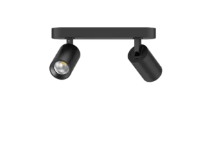 Pure Twin Indoor Spot Light 12W CCT